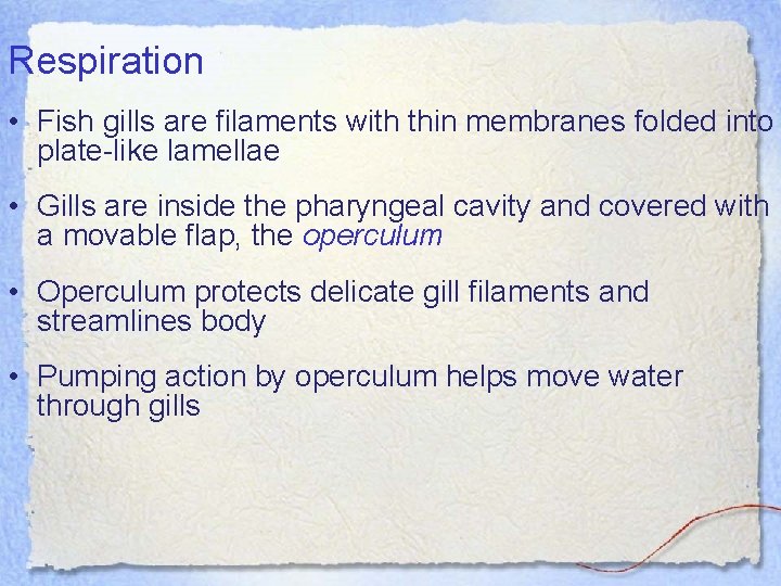 Respiration • Fish gills are filaments with thin membranes folded into plate-like lamellae •
