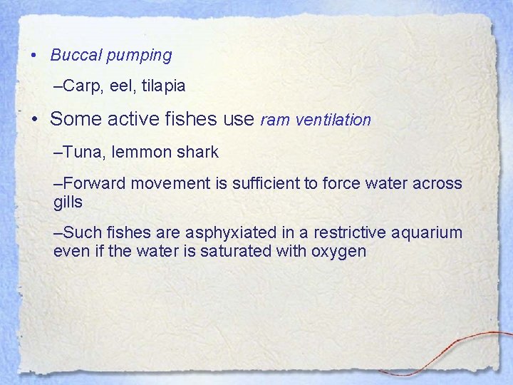  • Buccal pumping –Carp, eel, tilapia • Some active fishes use ram ventilation