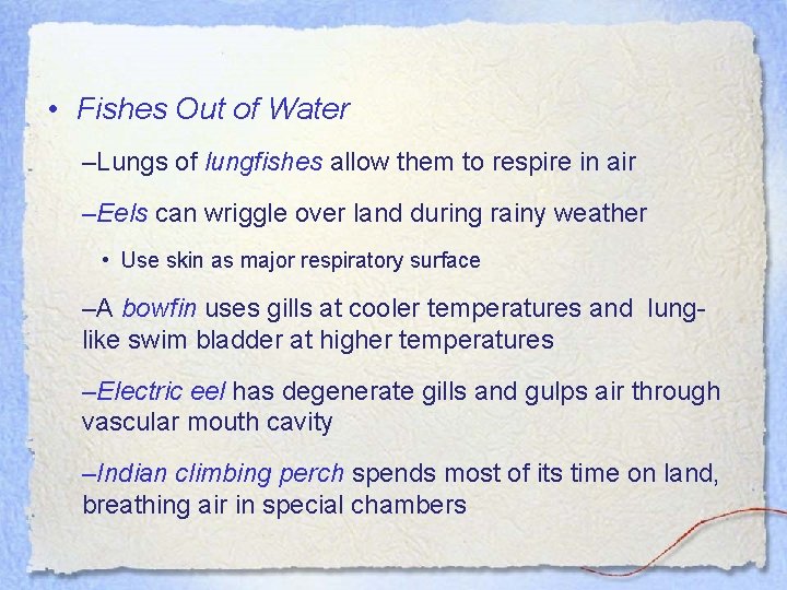  • Fishes Out of Water –Lungs of lungfishes allow them to respire in