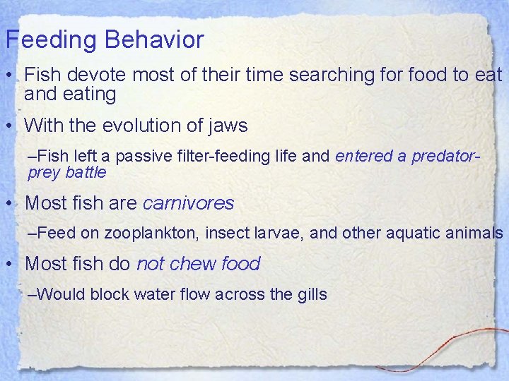 Feeding Behavior • Fish devote most of their time searching for food to eat