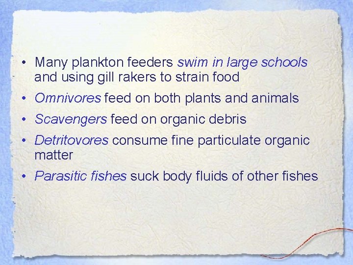  • Many plankton feeders swim in large schools and using gill rakers to