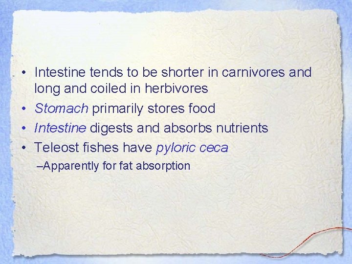  • Intestine tends to be shorter in carnivores and long and coiled in