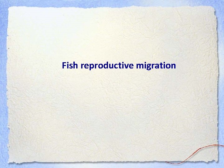 Fish reproductive migration 