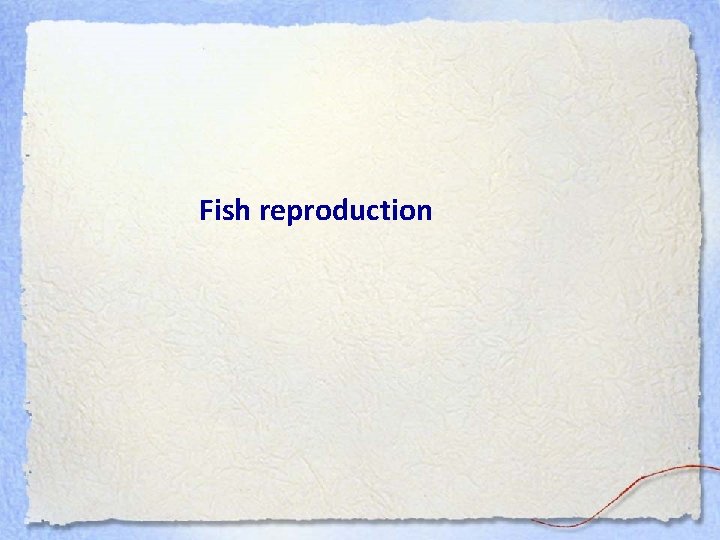 Fish reproduction 