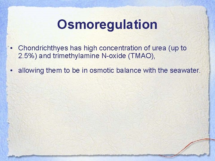 Osmoregulation • Chondrichthyes has high concentration of urea (up to 2. 5%) and trimethylamine