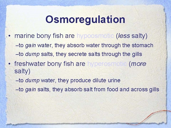 Osmoregulation • marine bony fish are hypoosmotic (less salty) –to gain water, they absorb
