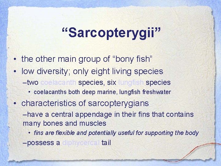 “Sarcopterygii” • the other main group of “bony fish” • low diversity; only eight