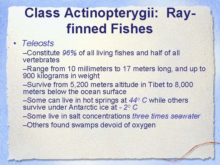 Class Actinopterygii: Rayfinned Fishes • Teleosts –Constitute 96% of all living fishes and half