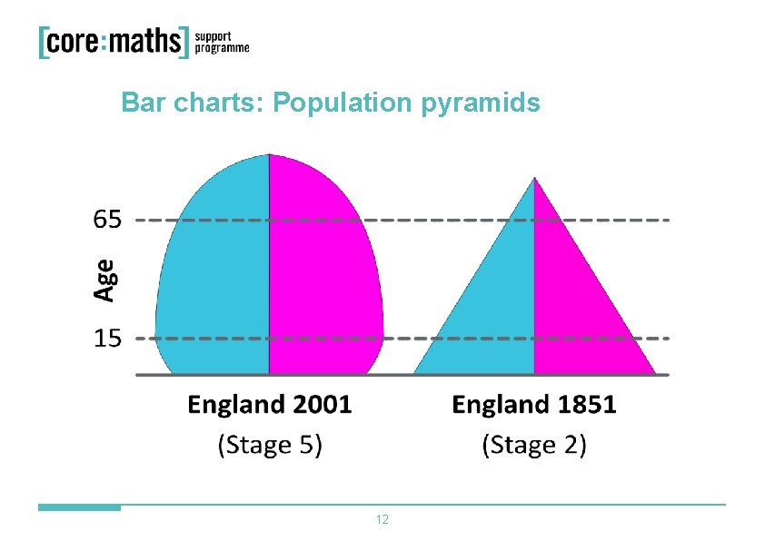 Bar charts: Population pyramids 12 