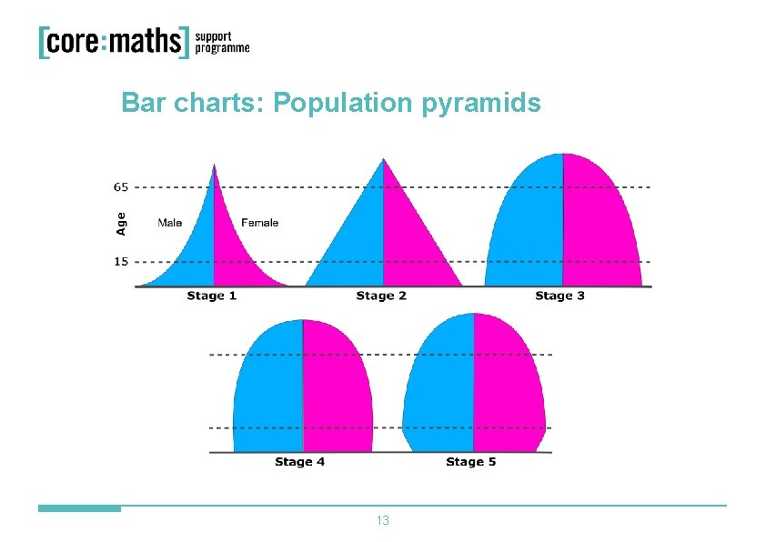 Bar charts: Population pyramids 13 