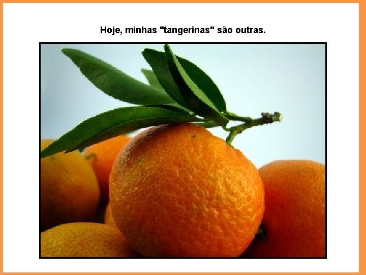 Hoje, minhas "tangerinas" são outras. 