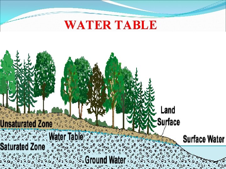 WATER TABLE 