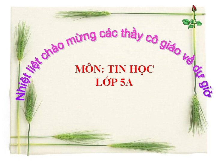 MÔN: TIN HỌC LỚP 5 A 