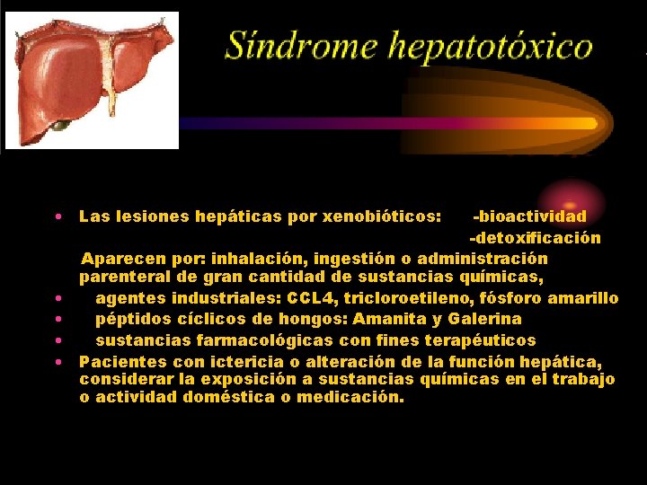  • Las lesiones hepáticas por xenobióticos: • • -bioactividad -detoxificación Aparecen por: inhalación,