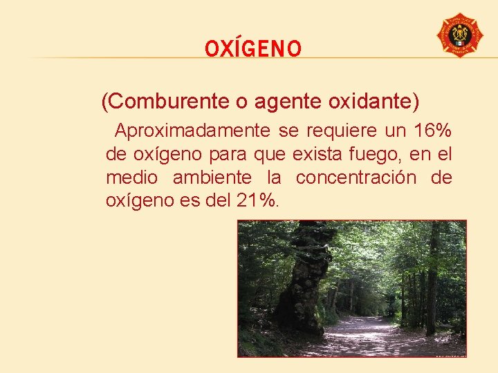 OXÍGENO (Comburente o agente oxidante) Aproximadamente se requiere un 16% de oxígeno para que