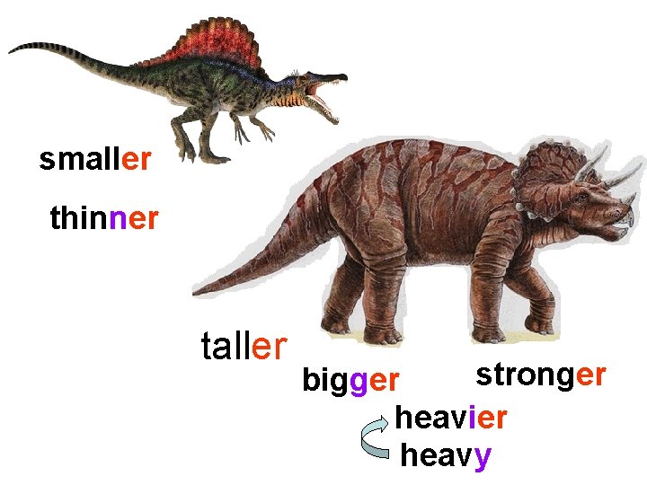 smaller thinner taller stronger bigger heavier heavy 