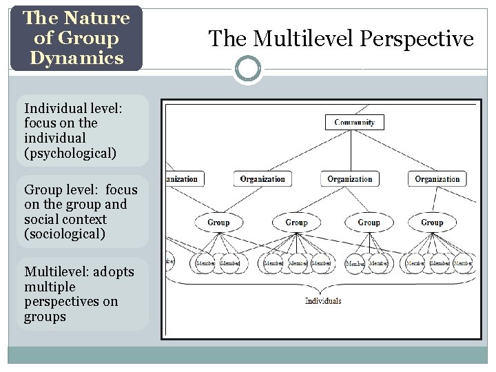 The Nature of Group Dynamics Individual level: focus on the individual (psychological) Group level: