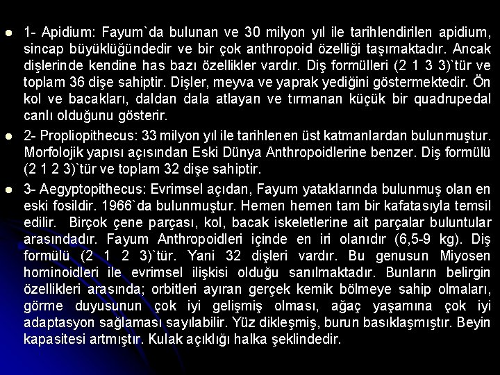  1 - Apidium: Fayum`da bulunan ve 30 milyon yıl ile tarihlendirilen apidium, sincap