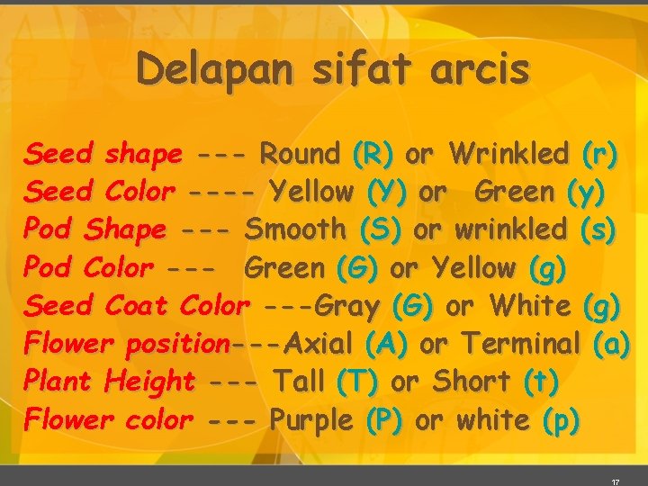 Delapan sifat arcis Seed shape --- Round (R) or Wrinkled (r) Seed Color ----