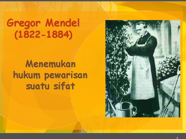 Gregor Mendel (1822 -1884) Menemukan hukum pewarisan suatu sifat 2 