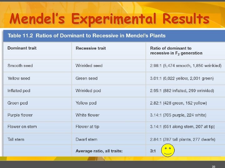 Mendel’s Experimental Results 20 