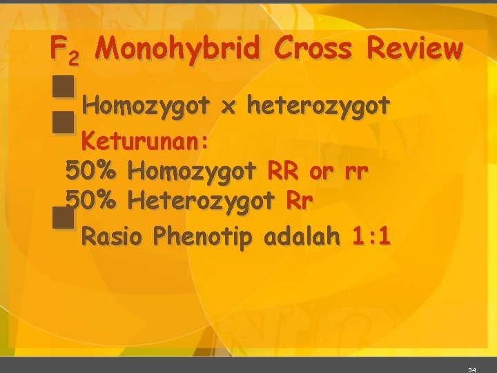 F 2 Monohybrid Cross Review §§ § Homozygot x heterozygot Keturunan: 50% Homozygot RR