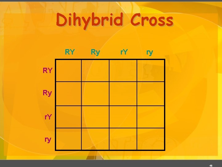 Dihybrid Cross RY Ry r. Y ry 48 