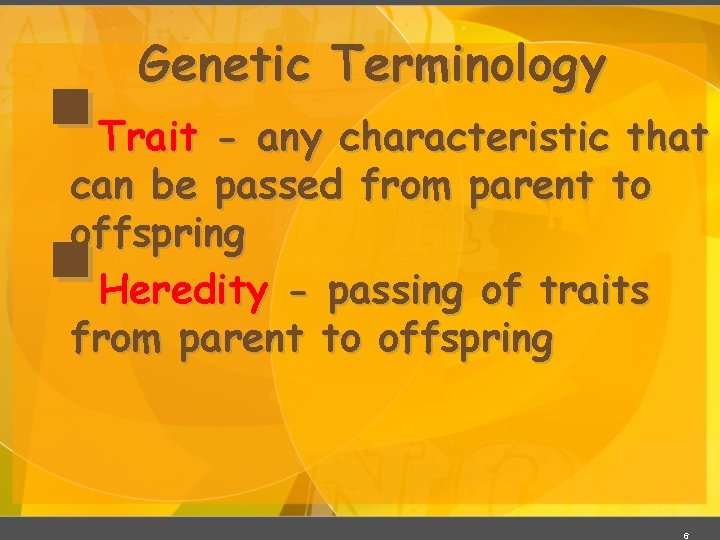 § § Genetic Terminology Trait - any characteristic that can be passed from parent