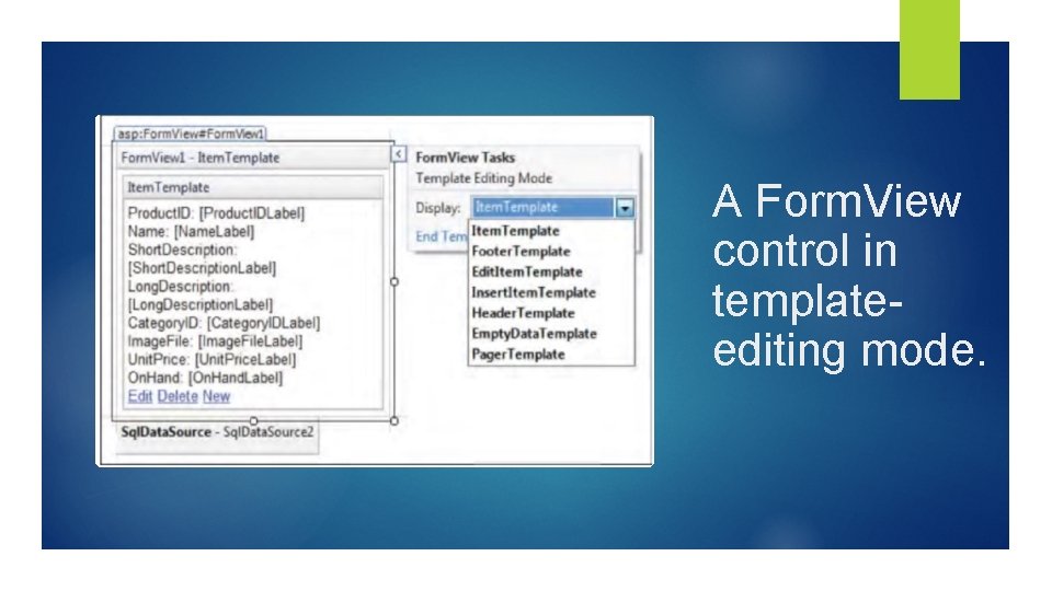 A Form. View control in templateediting mode. 