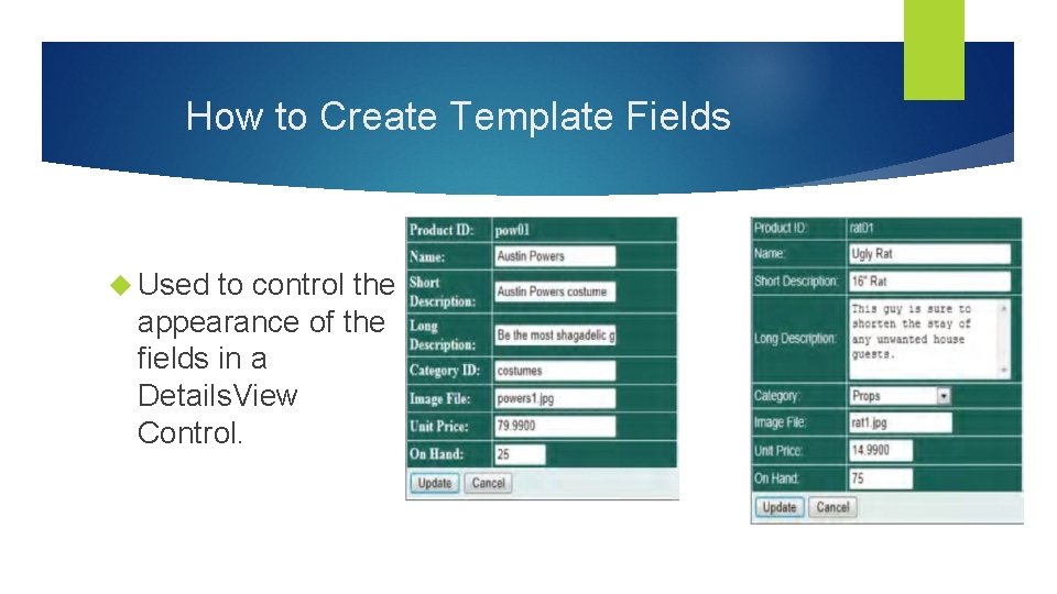 How to Create Template Fields Used to control the appearance of the fields in