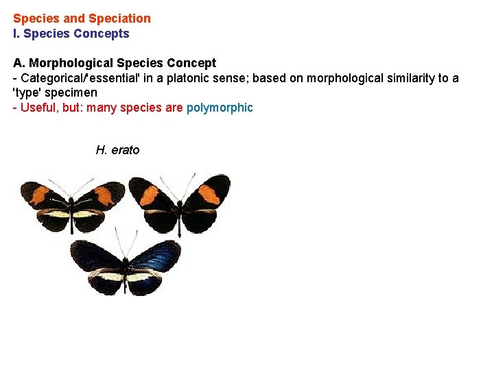 Species and Speciation I. Species Concepts A. Morphological Species Concept - Categorical/'essential' in a