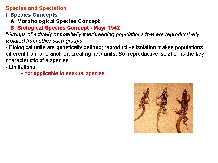 Species and Speciation I. Species Concepts A. Morphological Species Concept B. Biological Species Concept