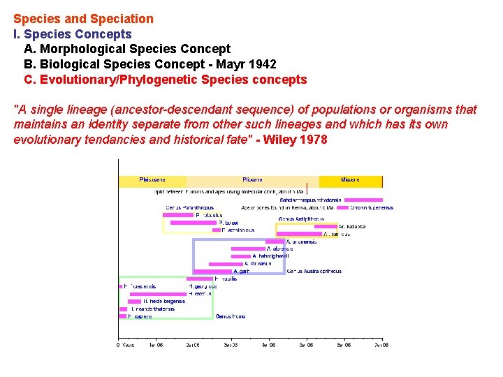 Species and Speciation I. Species Concepts A. Morphological Species Concept B. Biological Species Concept