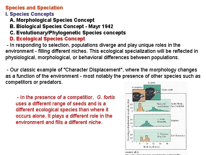 Species and Speciation I. Species Concepts A. Morphological Species Concept B. Biological Species Concept