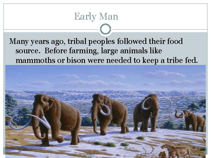 Early Many years ago, tribal peoples followed their food source. Before farming, large animals