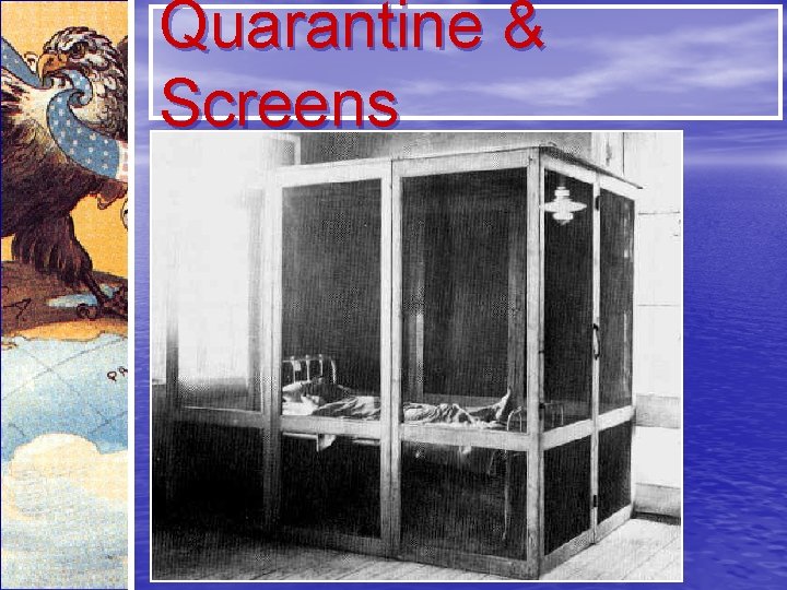 Quarantine & Screens 