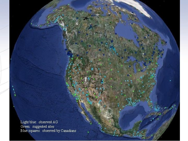 Light blue: observed AG Green: suggested sites Blue squares: observed by Canadians 