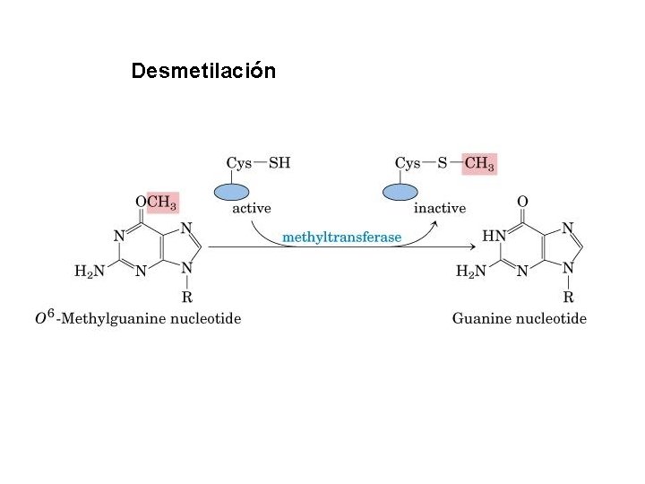 Desmetilación 