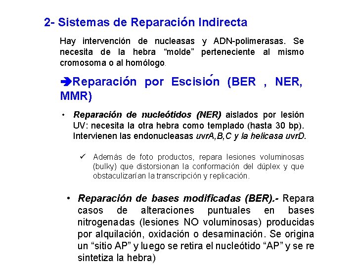 2 - Sistemas de Reparación Indirecta Hay intervención de nucleasas y ADN-polimerasas. Se necesita