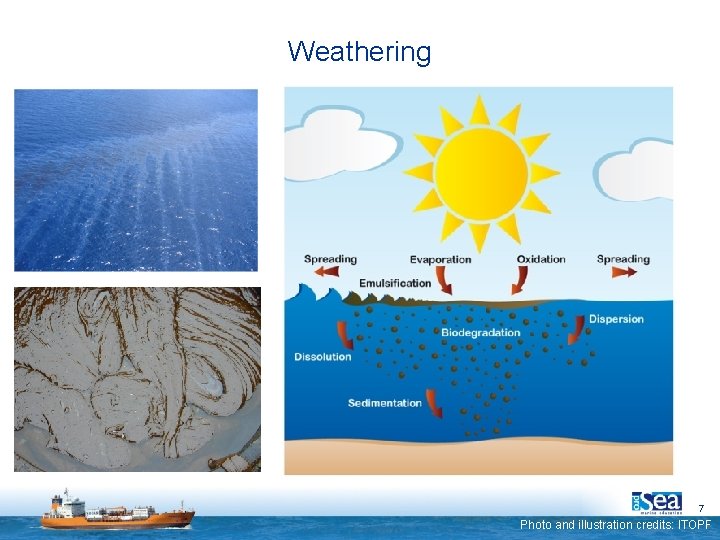 Weathering 7 Photo and illustration credits: ITOPF 