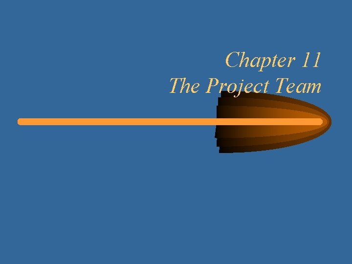 Chapter 11 The Project Team 