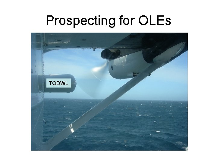 Prospecting for OLEs TODWL 
