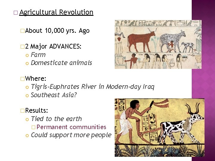 � Agricultural �About Revolution 10, 000 yrs. Ago � 2 Major ADVANCES: Farm Domesticate