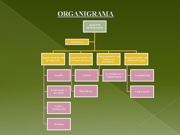 ORGANIGRAMA GERENTE PROPIETARIA Secretaria Departamento de producción Departamento de Comercialización Diseño Ventas Estampado y