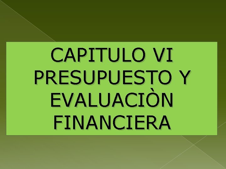 CAPITULO VI PRESUPUESTO Y EVALUACIÒN FINANCIERA 