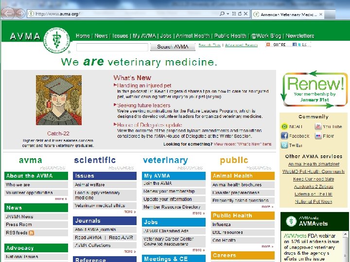 AVMA Analytics FAQs 