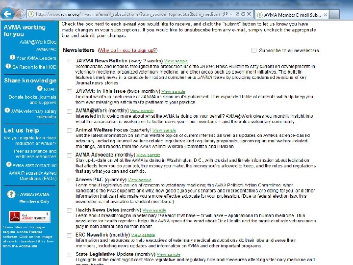 E-newsletters 