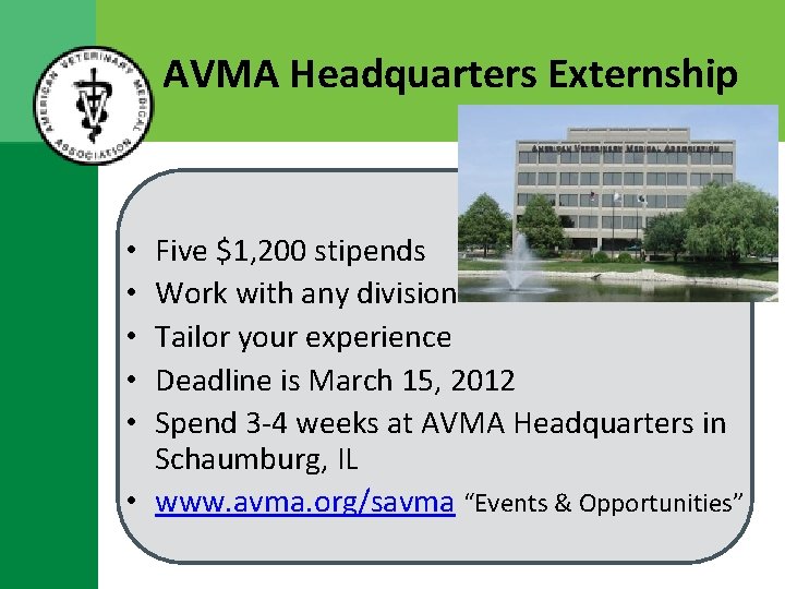 AVMA Headquarters Externship Five $1, 200 stipends Work with any division Tailor your experience