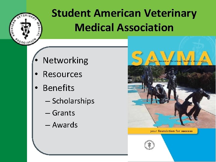Student American Veterinary Medical Association • Networking • Resources • Benefits – Scholarships –