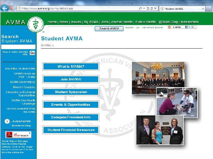 Savma website 